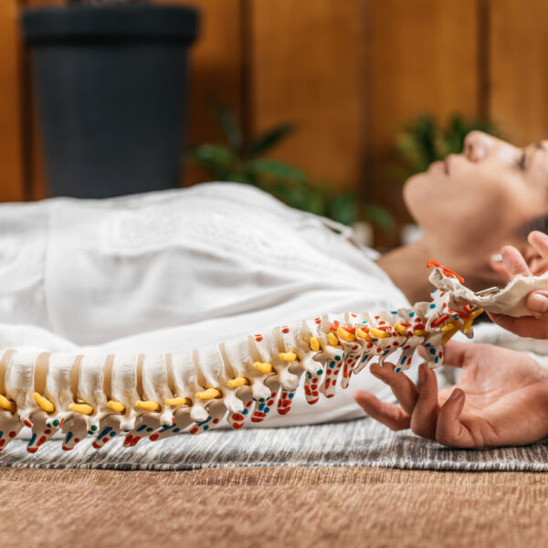 Chiropractic and Osteopathy Patient Education with Flexible Spine Model